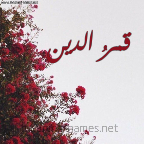 شكل 18 صوره الورد الأحمر للإسم بخط رقعة صورة اسم قمرُ الدين QMR ALdin